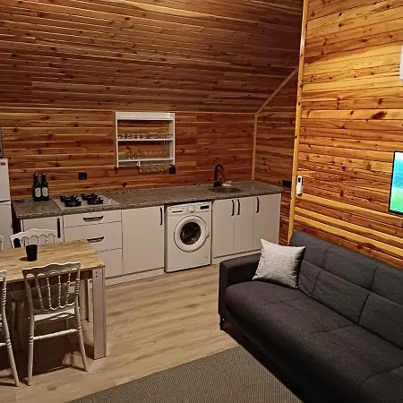 Alin Oezdogan Ev 木屋